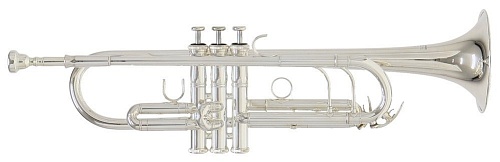 Roy Benson TR-402 Bb труба