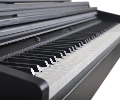 Artesia DP-7 PVC Фортепиано цифровое