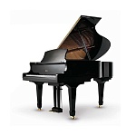 Фото:Weber Professional Grand W157 Рояль черный, полированный
