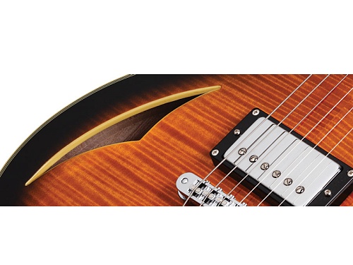 Schecter SOLO-6 CUSTOM E/A Гитара полуакустическая