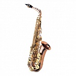 Фото:Yanagisawa A-902 Альт саксофон