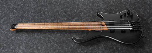 IBANEZ EHB1005-BKF 5-ти струнная бас-гитара, в комплекте чехол