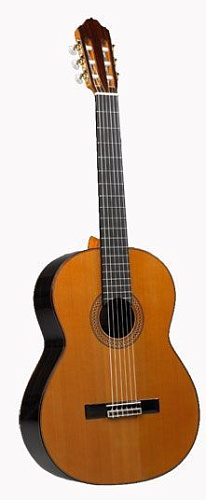 Esteve 9C/ B SP Классическая гитара 4/4