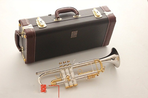 Vincent Bach Stradivarius Кейс для трубы