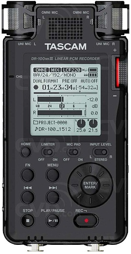 Tascam DR-100 MK3  PCM     , Wav/MP3