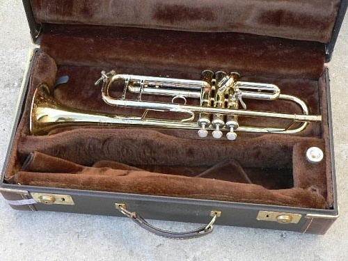 Vincent Bach Stradivarius Кейс для трубы
