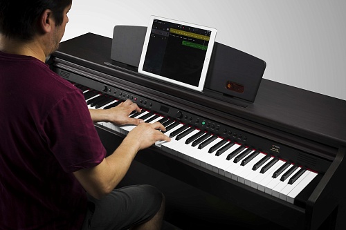 Artesia DP-10e Rosewood Цифровое фортепиано