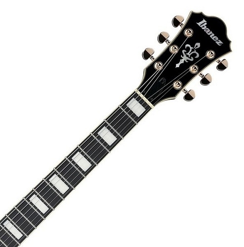 Ibanez AF95FM-AYS Полуакустическая гитара