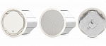 Фото:Tannoy CVS 801S Потолочный сабвуфер с колпаком