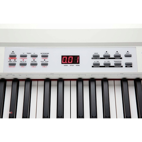 Kurzweil KA90 WH   