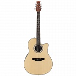 :Applause AB24II Mid Cutaway  ,  