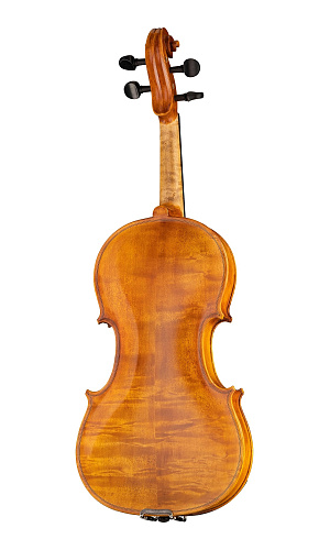 Hora V200-4/4 Elite Elite Скрипка модель "Elite" Bird Eye