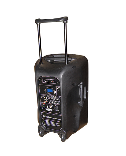 Soundking WJ12A Акустическая система