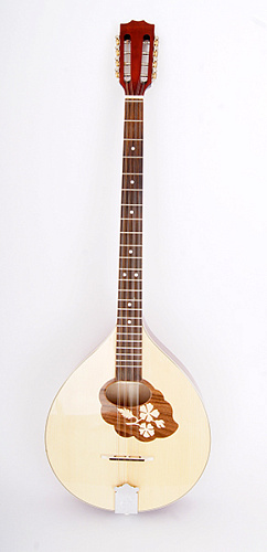 Hora M1089 Irish Bouzouki Бузуки