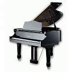 Фото:Samick SIG50D/EBHP    рояль, цвет черный полированый