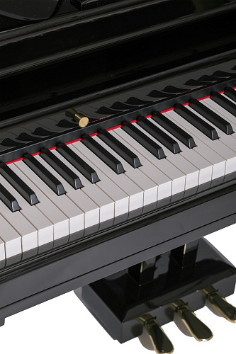 Orla Grand-500-Black Цифровой рояль, с автоаккомпанементом, черный