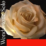 Фото:Pirastro 410021 Wondertone Solo Комплект струн для скрипки (синтетика)