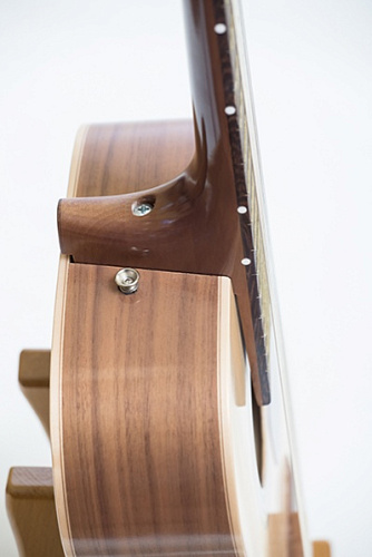 Neva Guitars RHNG6B017 Акустическая гитара