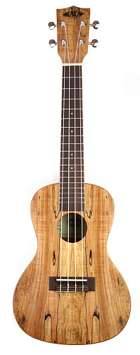 KALA KA-SMC Kala Spalted Maple Concert Ukulele Укулеле концерт