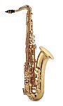 :Trevor James The Horn 3830G  