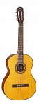 :TAKAMINE GC3 NAT  