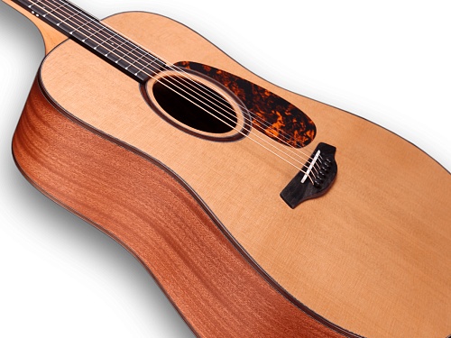 FURCH Indigo Deluxe D-CY Акустическая гитара