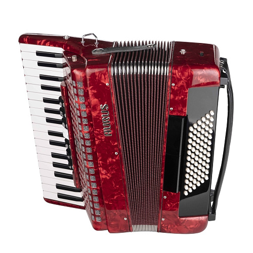 Aurus JH2021-RED Аккордеон 34/72/7/2, красный, с футляром