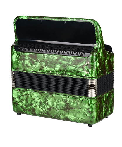 Тульская Гармонь BN-37-GR Баян ученический двухголосный "Тула-209", 92/55х100-II, зеленый