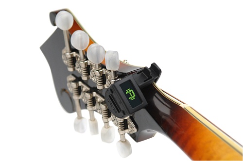 Planet Waves PW-CT-12 NS Mini Headstock   