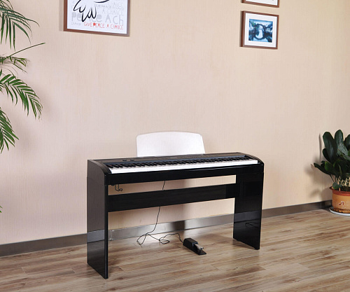 Artesia A-10 Polished Фортепиано цифровое