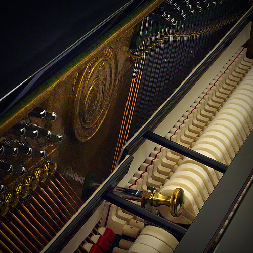 W. Hoffmann Vision V 112 Пианино черное, полированное