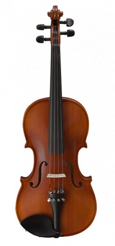 Strunal 160-1/8 Siena Скрипка студенческая 1/8
