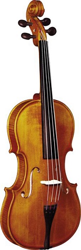 Strunal 3/12w Альт 41см