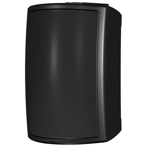Tannoy AMS 6DC Пассивная акустическая система