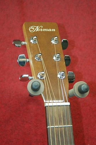 Norman ENCORE B20 Комплект: акустическая гитара, кейс