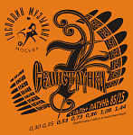 Фото:Господин Музыкант R12 СЕМИСТРУНКА Комплект струн для 7-струнной акустической гитары, сталь/Л85