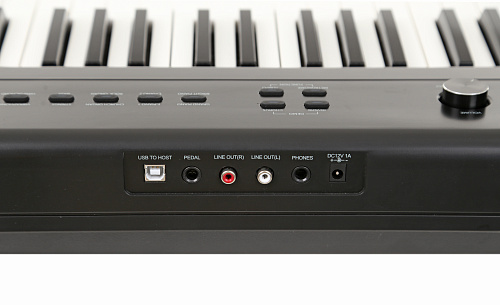 Artesia PA-88W Цифровое пианино