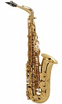 :Selmer Jubilee SA80II GG -