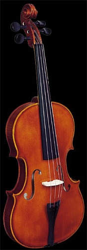 Strunal 3/120 Альт 41см