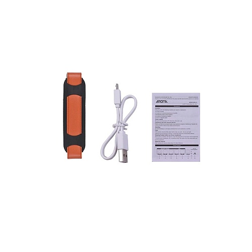 Aroma AG-15A Портативный комбоусилитель для акустической гитары