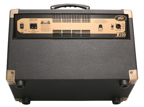 PEAVEY Peavey Ecoustic E110 1x10" Комбоусилитель для акустической гитары
