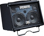 :ROLAND KC-110  