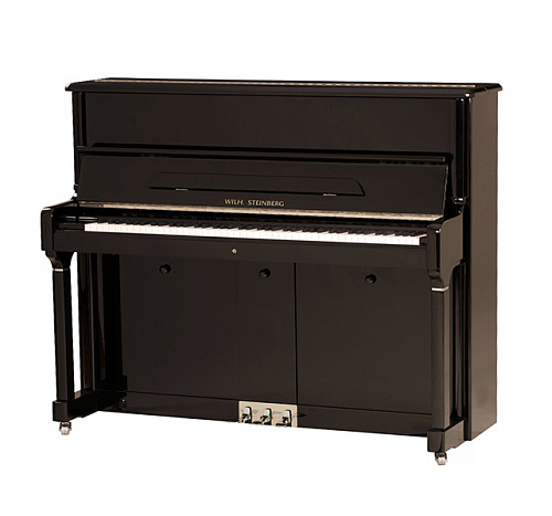 W.Steinberg 190049-1CK Performance P125E Акустическое пианино, черное